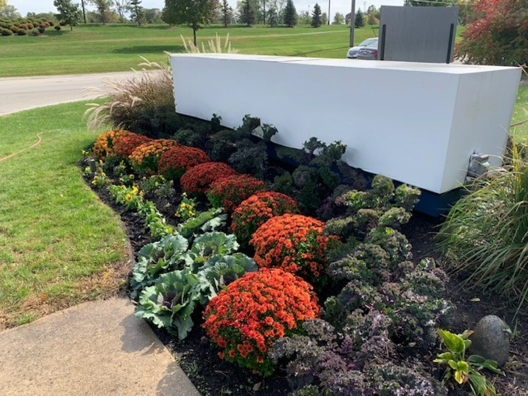 Woodlake Mums