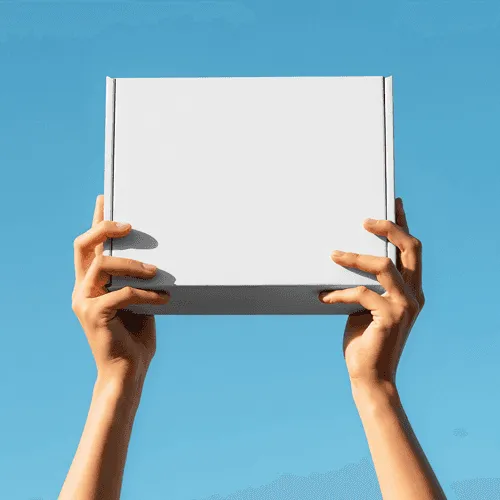Hand holding mailer box mockup