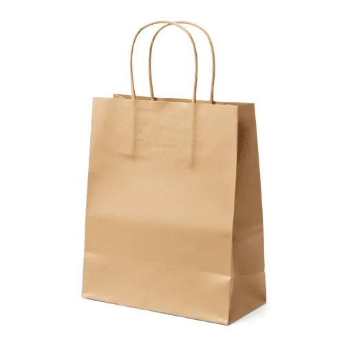 Kraft paper bag mockup left view