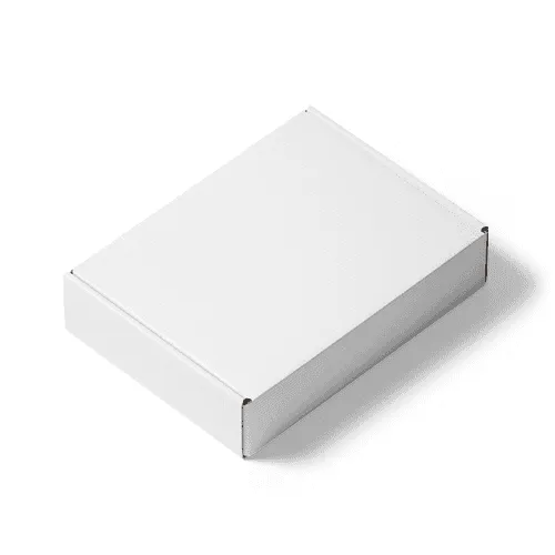 Cardboard Mailer Box Mockup Isometric