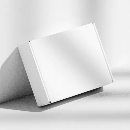 Cardboard White Mailer Box Mockup