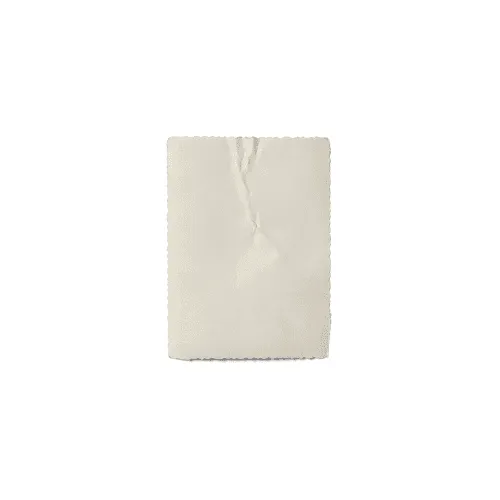 Old Wrinkled Vintage Photo Paper Mockup