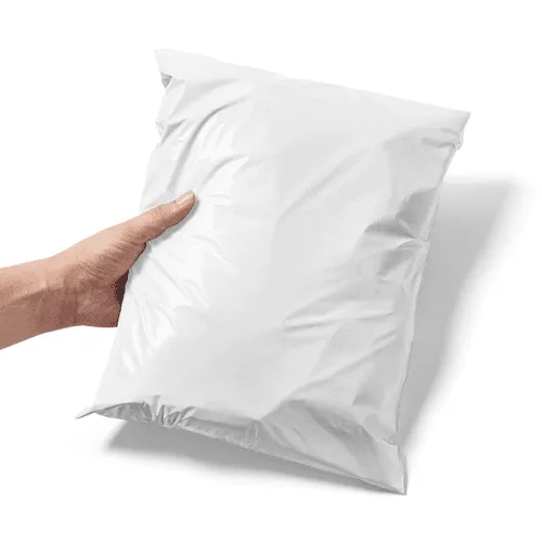 Hand Holding Mailing Bag Mockup