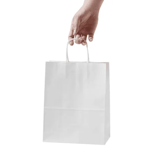 Hand Holding Shopping Bag Mockup