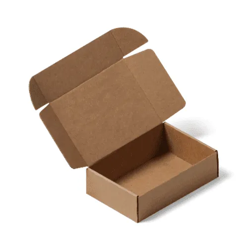 Kraft Mailer Box Mockup (open)