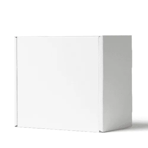 White Mailer Box Mockup (Standing)