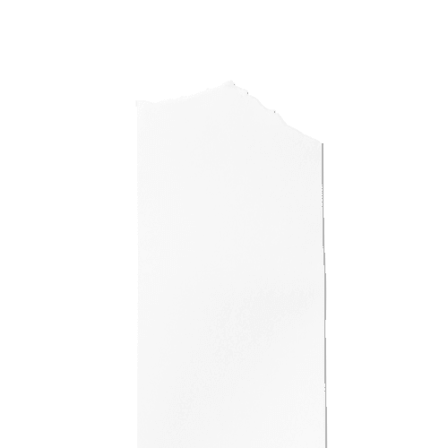 Tape (5 cm) Mockup