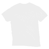 Mens Triblend Vee Tee Back