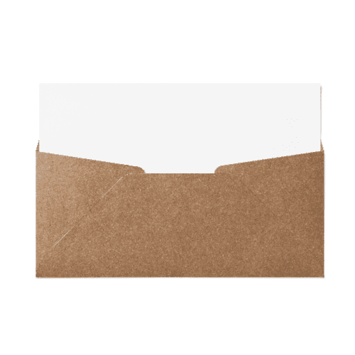 Regular #10 Envelope (105x241mm) Kraft