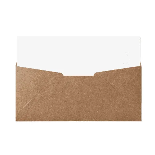 Regular #10 Envelope (105x241mm) Kraft
