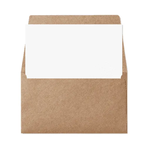 Remittance 6 1/4 Envelope (89x152mm) Kraft