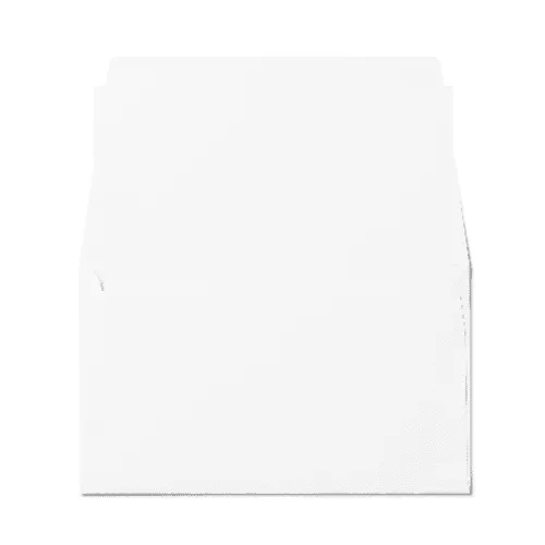 Remittance 6 1/4 Envelope (89x152mm) White