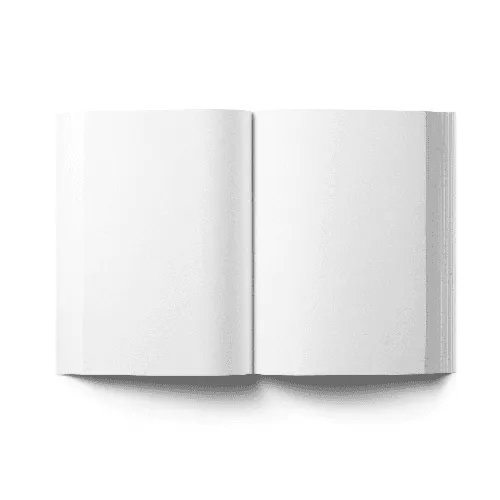 Soft Cover Book (247x330 mm)
