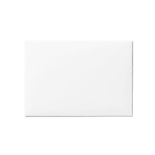 Back Envelope