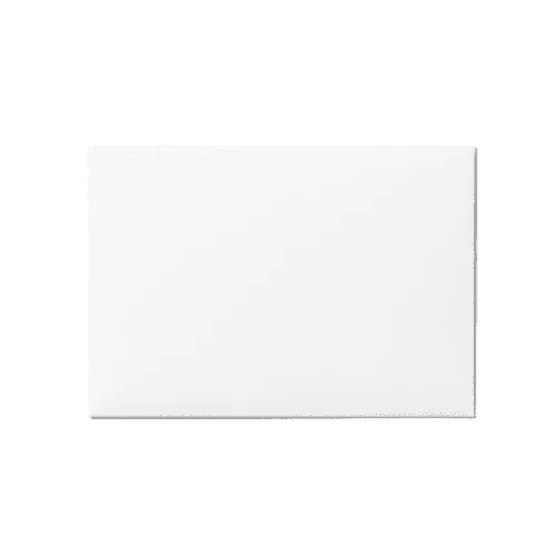 Back Envelope