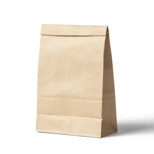 Kraft Paper Bag Mockup