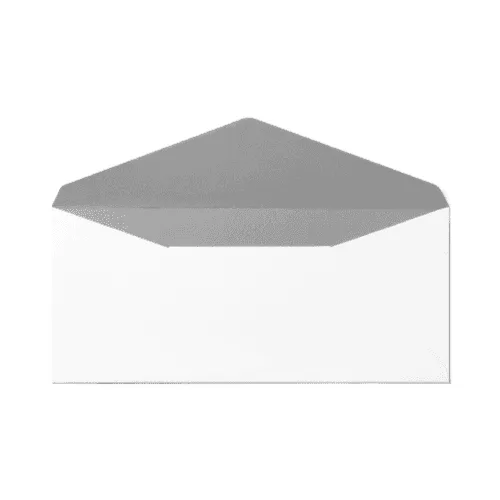 Envelope (105x240 mm) Mockup