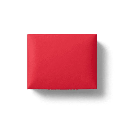 Red Rictangle Product Box Mockup