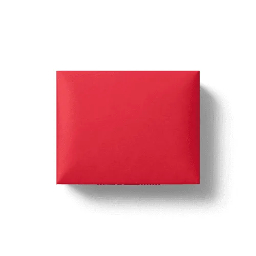Red Rictangle Product Box Mockup
