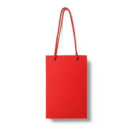 Paper Gift Bag