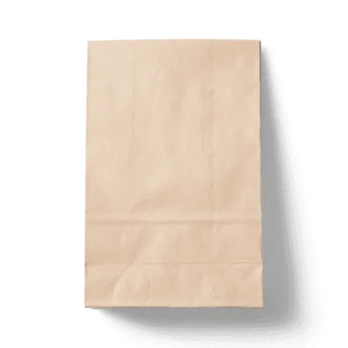 Kraft Paper Food Bag Mockup