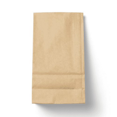 Kraft Paper Bag Mockup