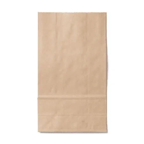 Kraft Paper Food Bag Mockup