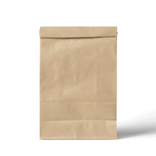 Kraft Paper Bag Mockup