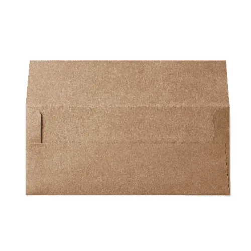 Square Flap #10 Envelope (105x241mm) Kraft