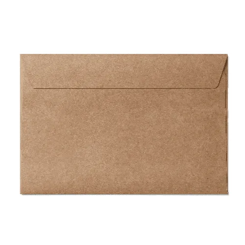 Booklet 6x9" Envelope (152x229mm) Kraft