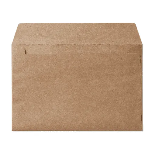 Booklet 6x9" Envelope (152x229mm) Kraft
