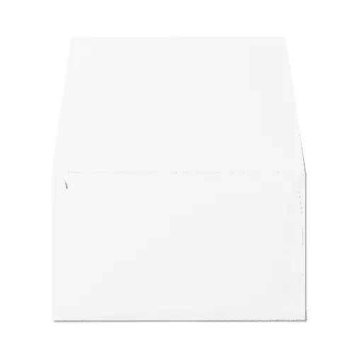 Remittance 6 1/4 Envelope (89x152mm) White