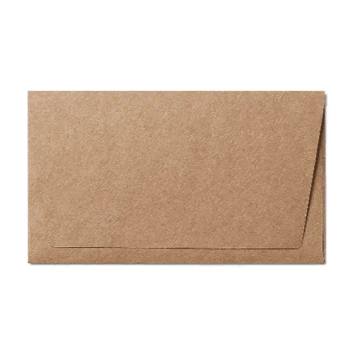 Remittance 6 1/4 Envelope (89x152mm) Kraft