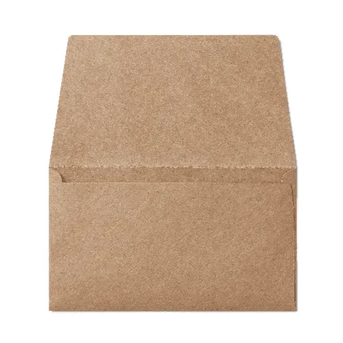 Remittance 6 1/4 Envelope (89x152mm) Kraft