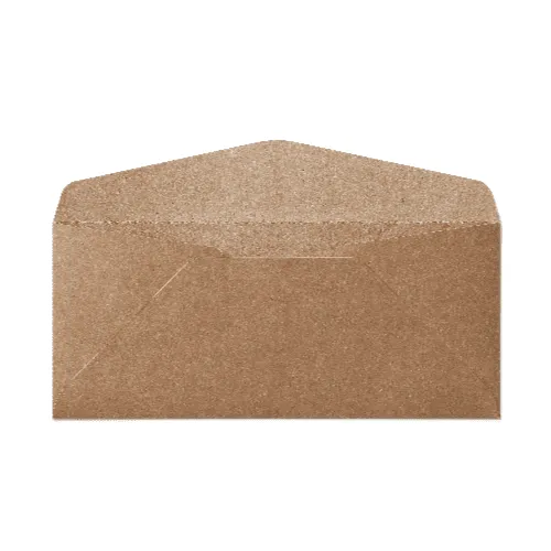 Regular #10 Envelope (105x241mm) Kraft