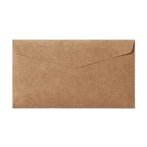 Regular #6 Envelope (92x165mm) Kraft