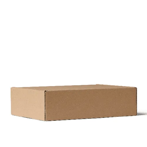 Kraft Mailer Box Mockup