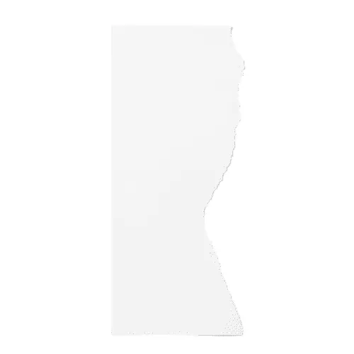 Torn Paper Mockup