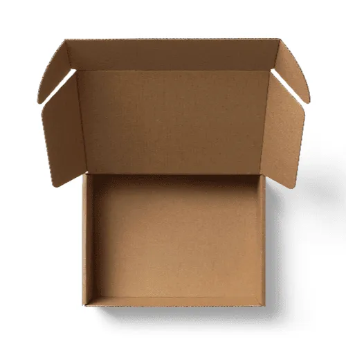 Cardboard Mailer Box Mockup