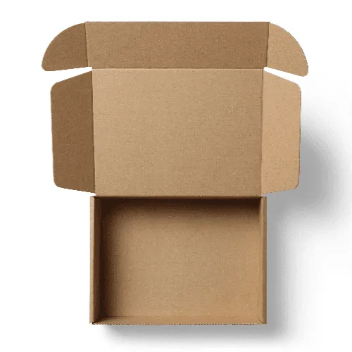 Cardboard Mailer Box Mockup