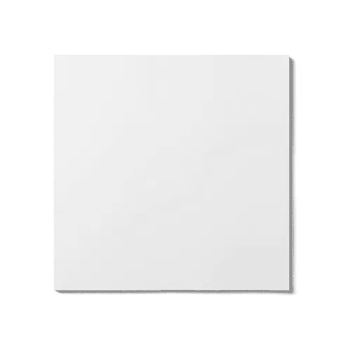 Softcover Book (8.5x8.5 in)