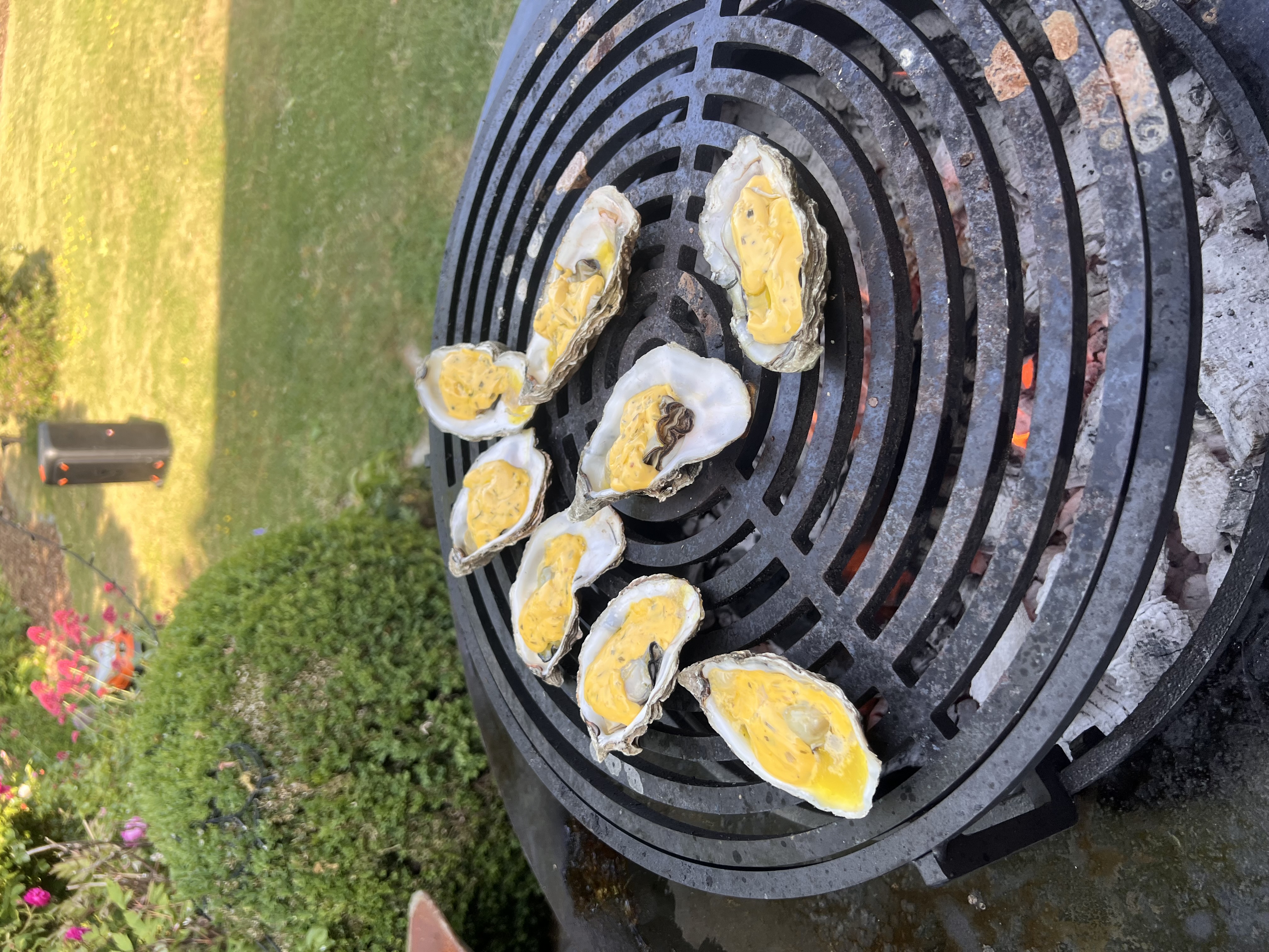 ofyr-oester
