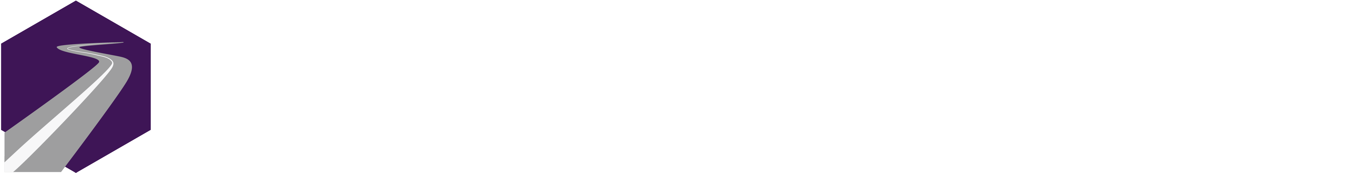 TopoDOT Consulting