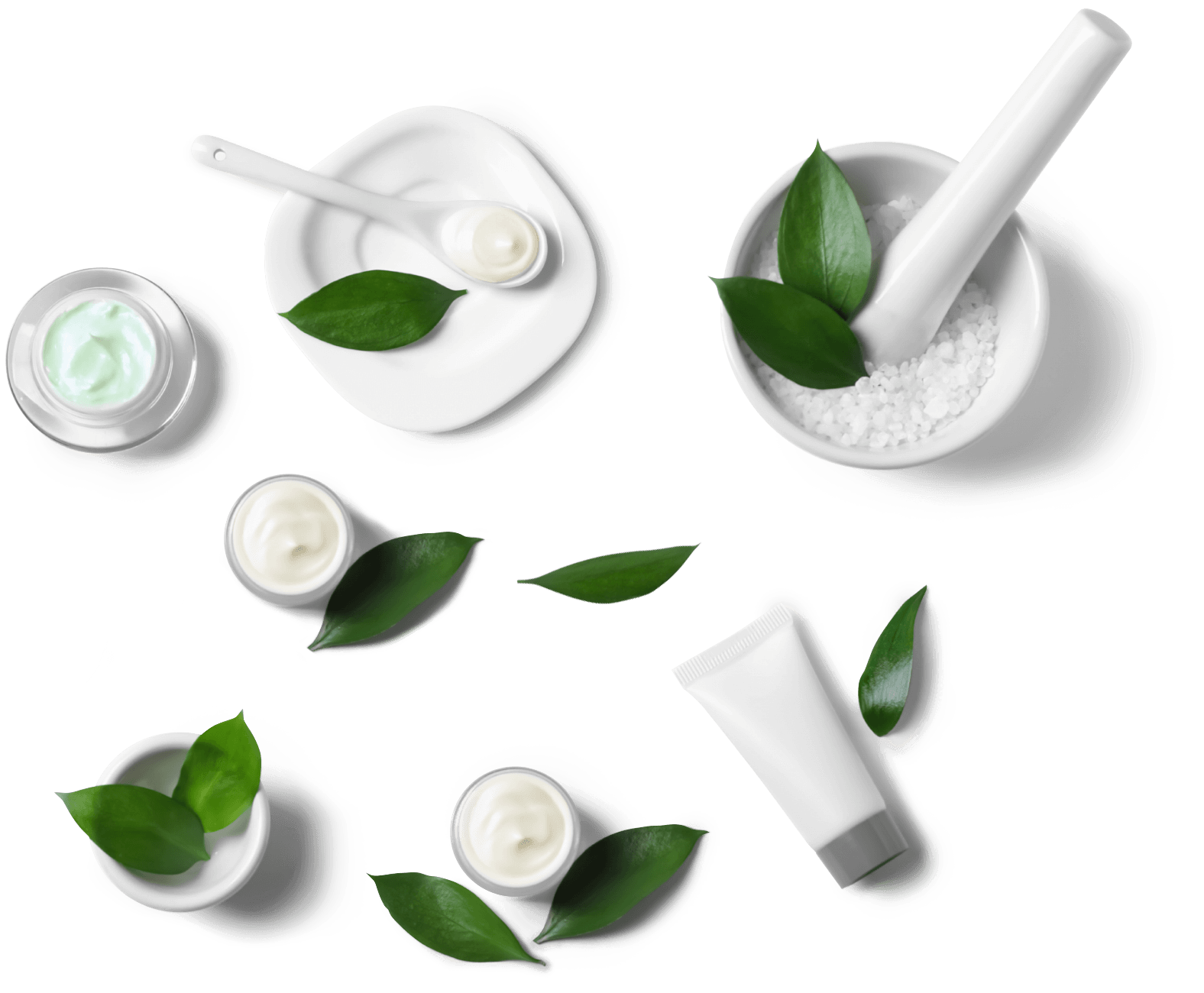 Various white cosmetic containers with creams and green leaves arranged with a mortar and pestle.