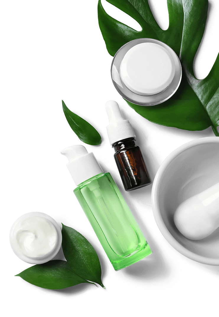 Green pump bottle, dropper bottle, cream jars, and mortar with pestle surrounded by green leaves.