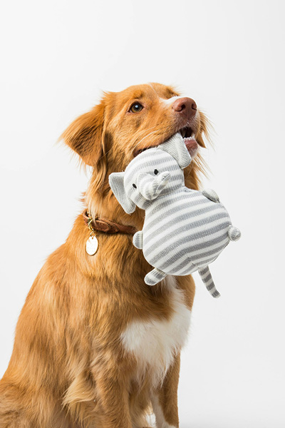 Packaging for Grooming, Wellness, and Pet Care Products
