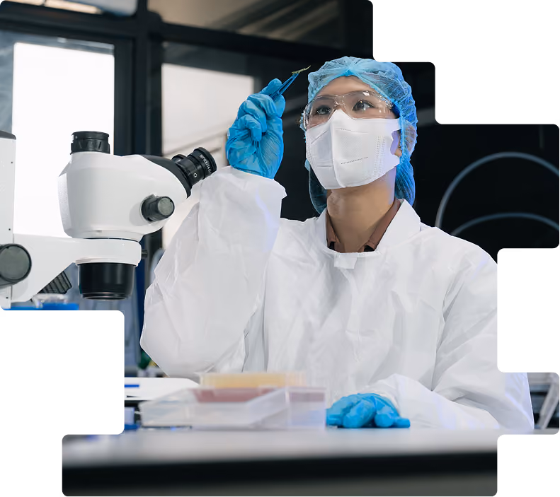 Researcher in mask and hairnet: Scientist in sterile protective gear holding a sample with forceps in a cleanroom lab