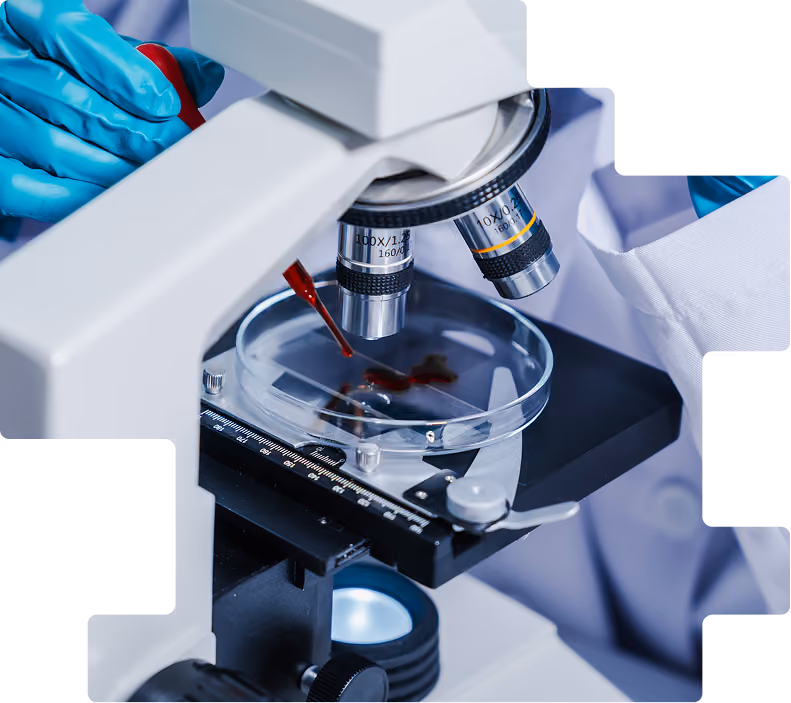 Microscope image: Gloved researcher examining a tissue sample under a laboratory microscope