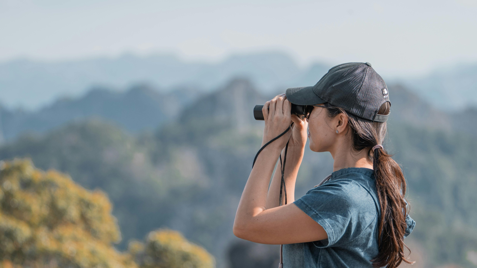 Close-up of a pair of birding binoculars being focused in the field