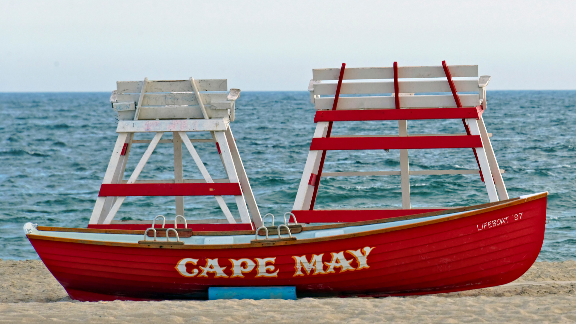 Migrant songbirds and shorebirds along the Cape May coast in early spring